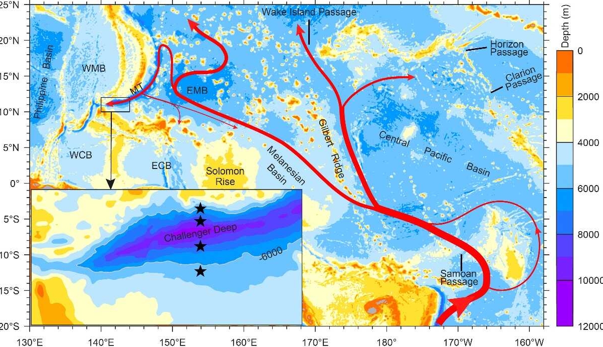 Progress in the Research on the Circulation Dynamics of the Challenger Deep