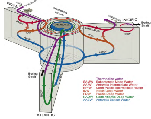 Department of Ocean Circulation Observing and Numerical Modeling